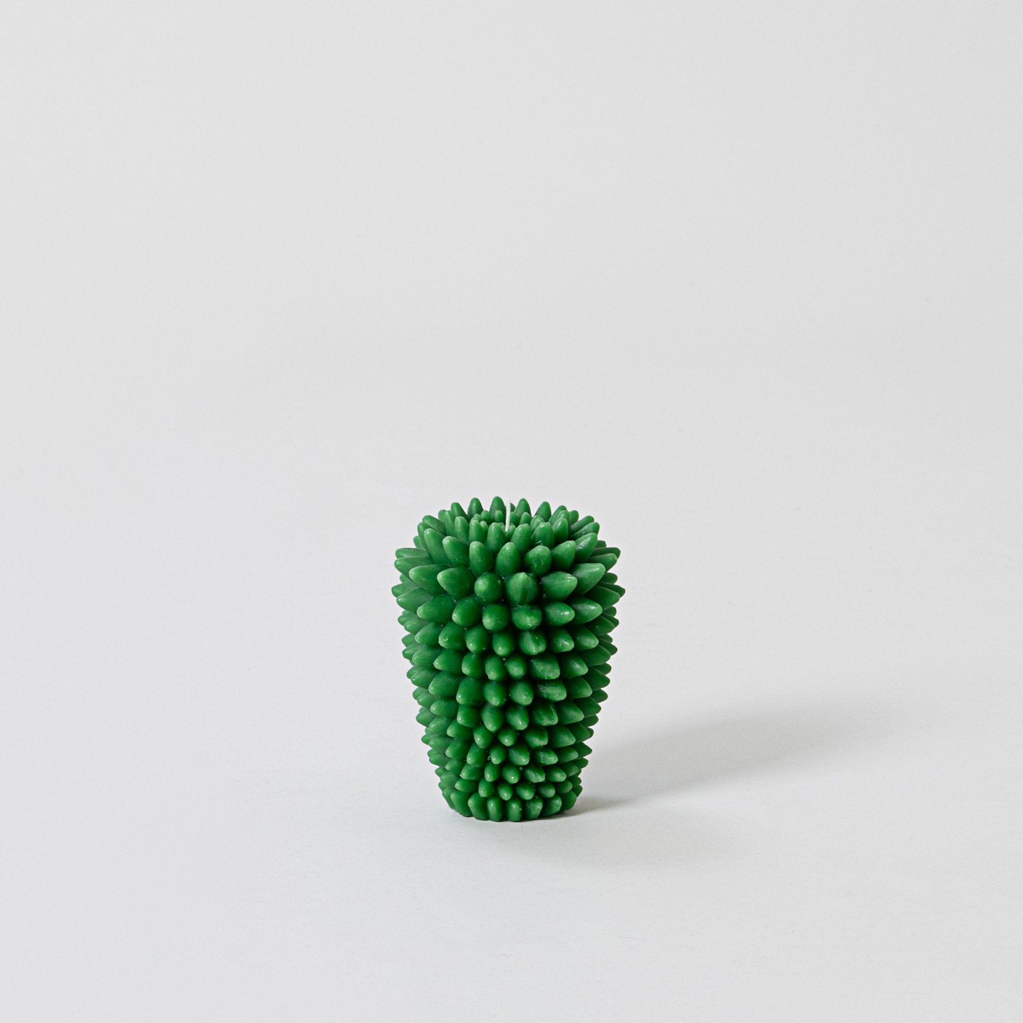 &amp;klevering Candle Cactus - Bold Stings