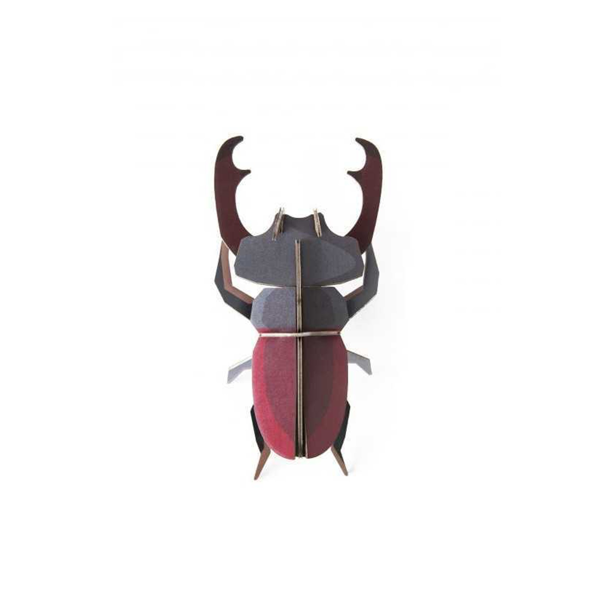 Studio Roof Wall Décor, Little Wonders of Nature - Stag Beetle
