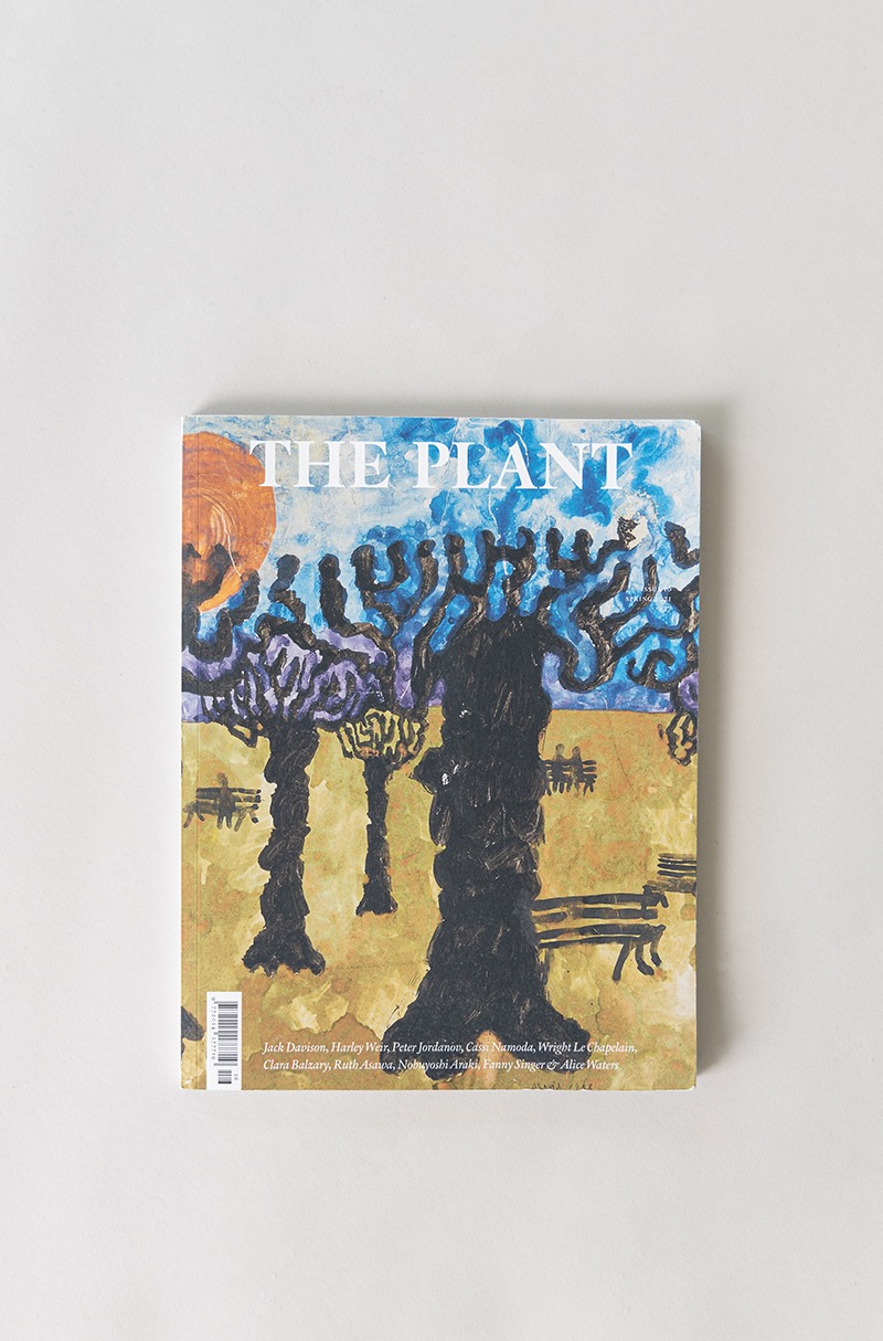 THE PLANT MAGAZINE Issue 16