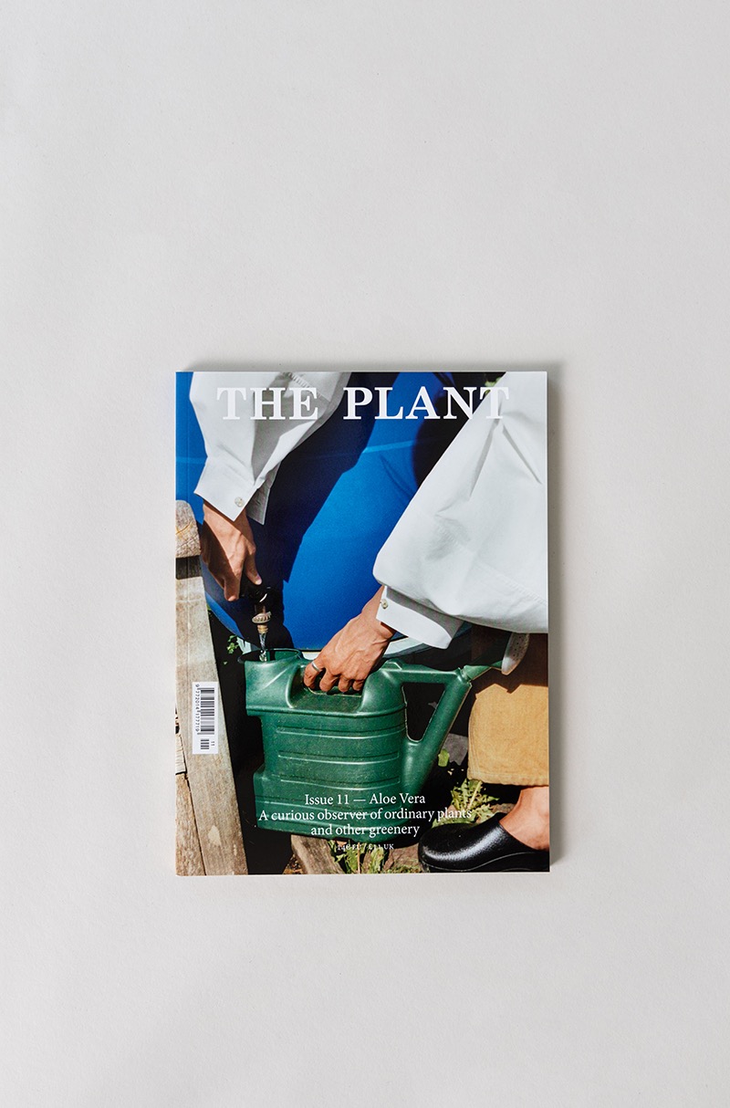 THE PLANT MAGAZINE  Issue 11