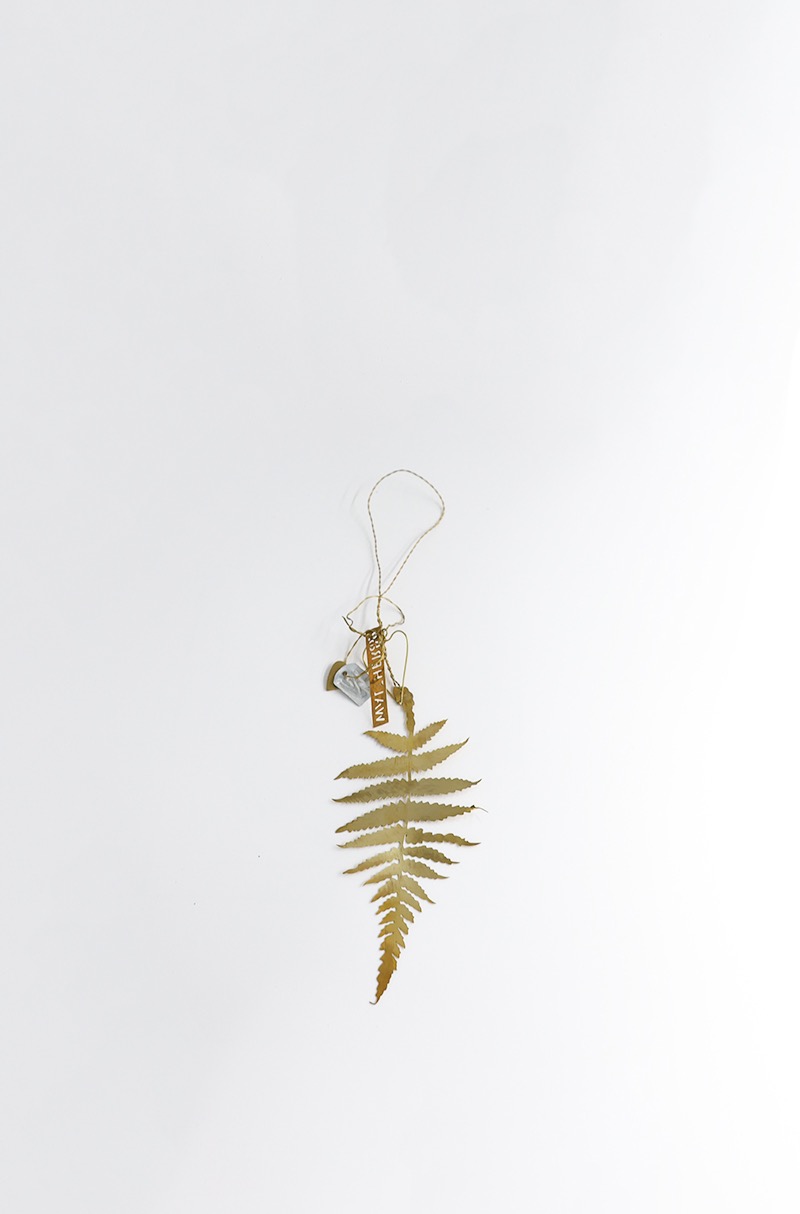 WALTHER&amp;CO Hanging natures fern, brass 15cm